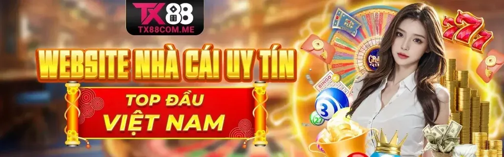 Hình ảnh chính nền tảng s6667 với các tính năng nổi bật